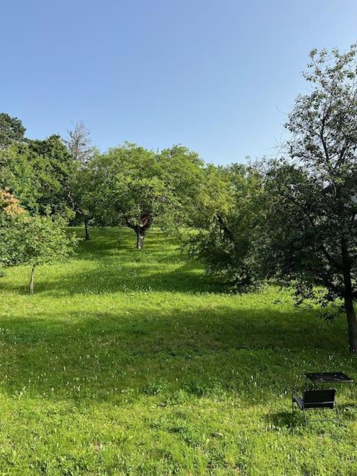 Beletage Johann Strauss Klosterneuburg Εξωτερικό φωτογραφία